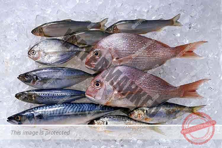 Cara Memilih Seafood Segar Yang Berkualitas
